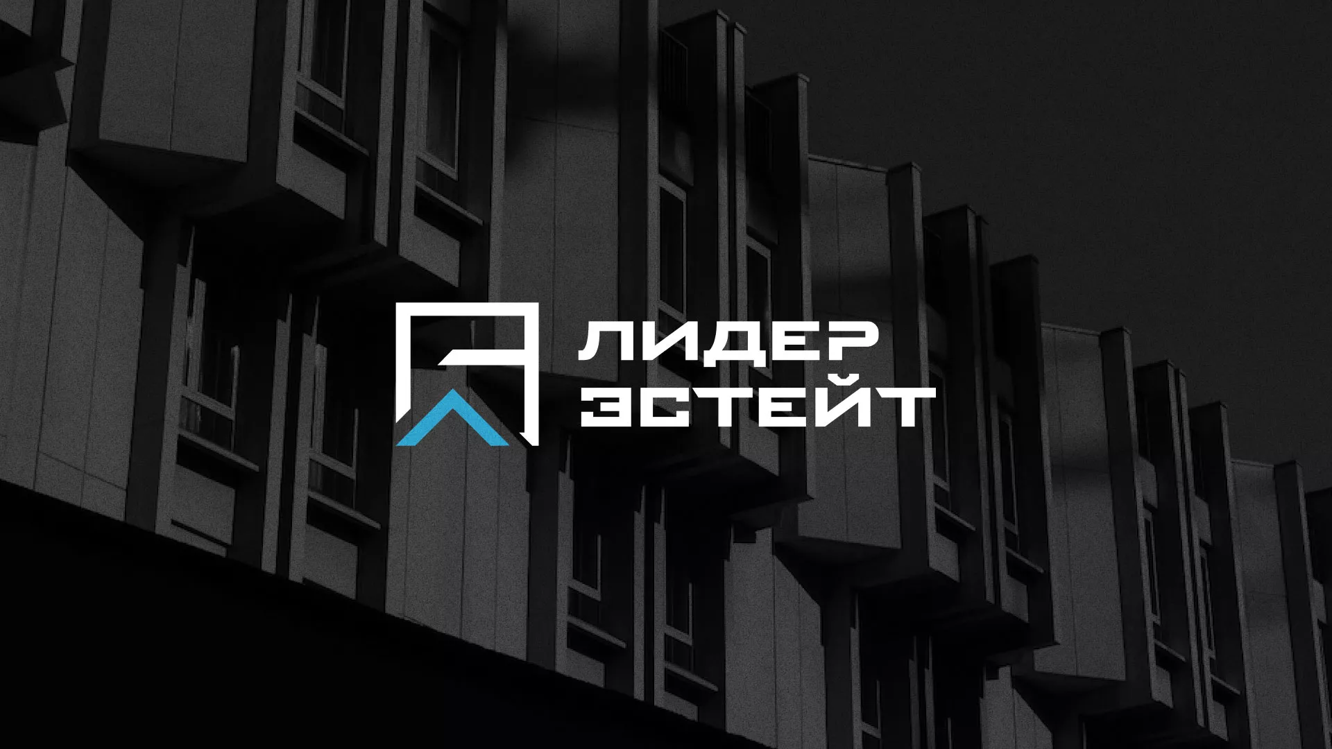 Разработка логотипа агентства недвижимости «Лидер Эстейт» в Мглине