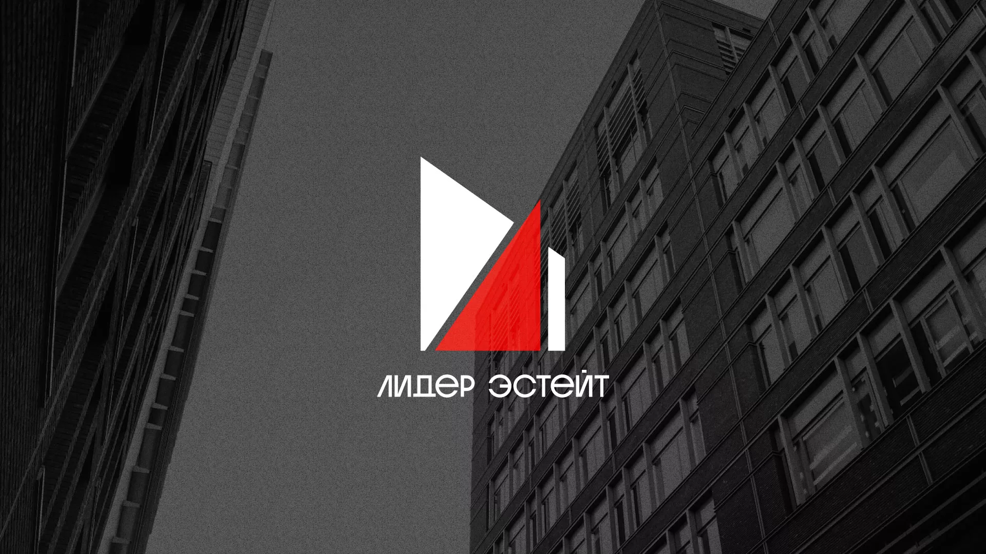 Сделали логотип для агентства недвижимости «Лидер Эстейт» в Мглине